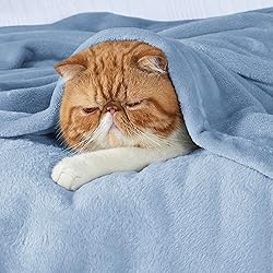 Bedsure GentleSoft Fleece Throw Blanket for Couch