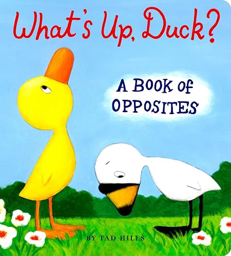 Download What's Up, Duck?: A Book of Opposites PDF