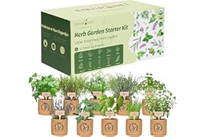 Environet 10 Indoor Herb Garden Kit- Burlap Pots, Organic Seeds, Herb Garden Planter Indoor Kit, Easy Window & Kitchen Herbs Growing Kit, Cilantro, Basil, Sage, Oregano, Parsley, Dill, Chives etc.