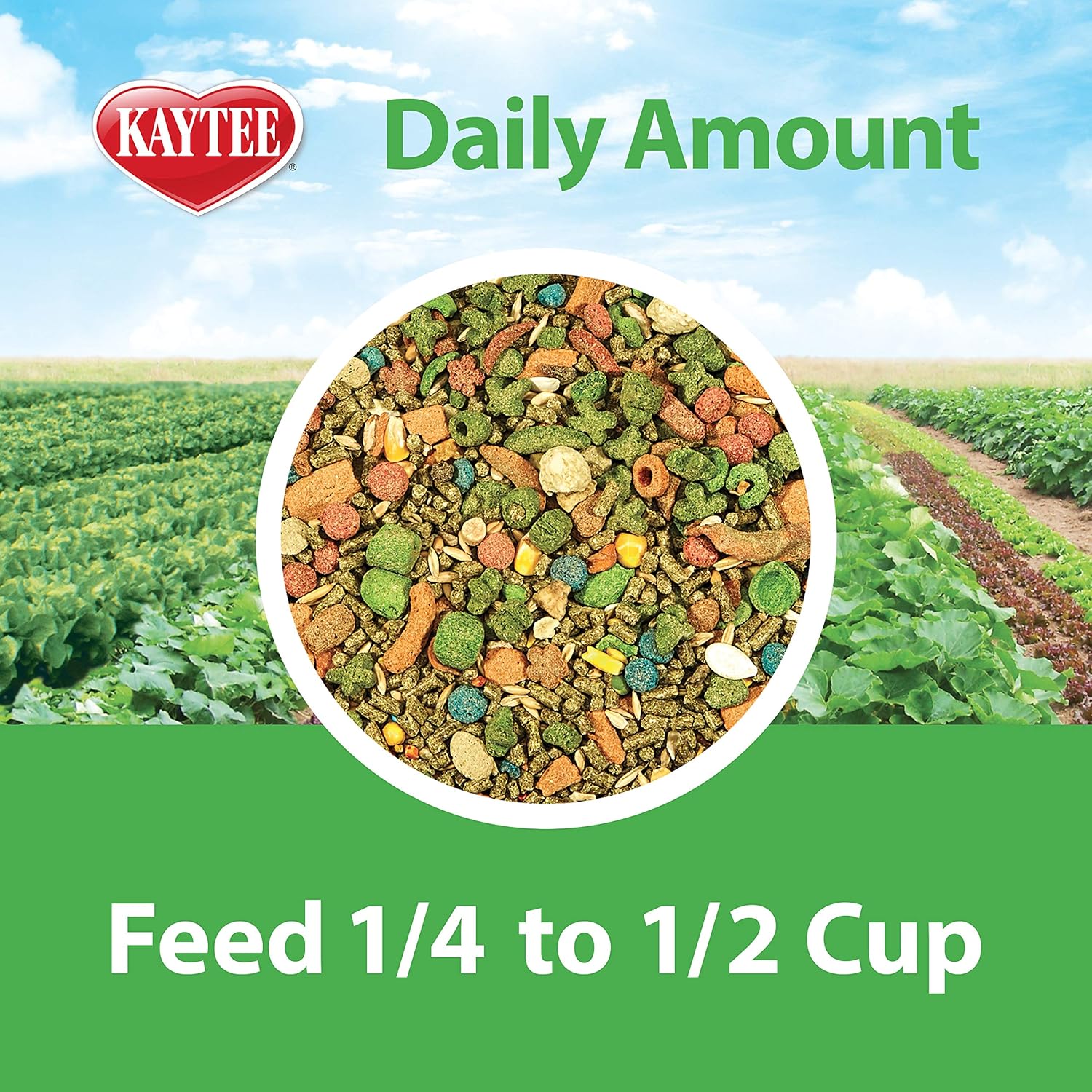 Kaytee Fiesta Guinea Pig Food, 4.5 lb : Pet Food : Pet Supplies