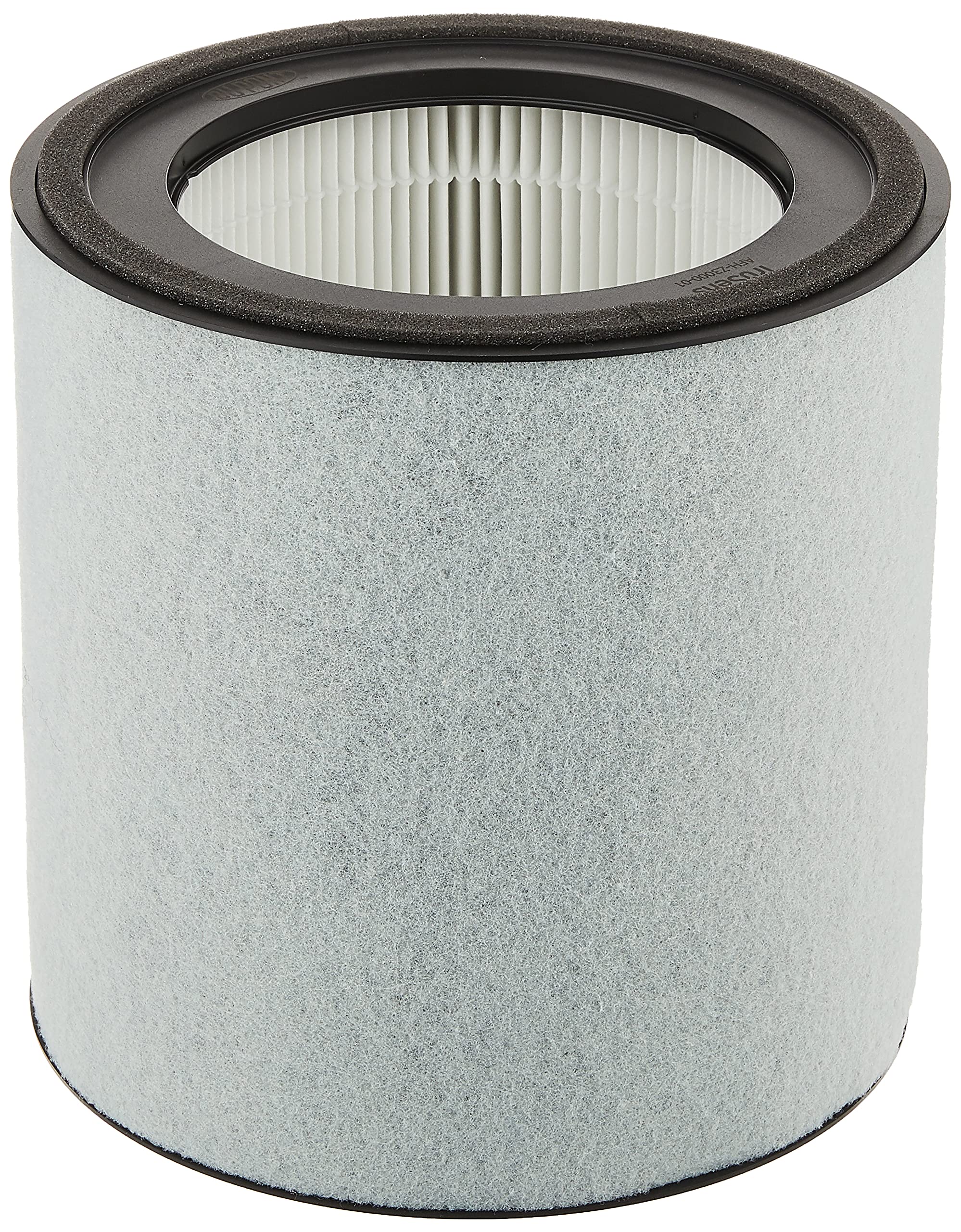 Leitz Trusens Replacement Dupont Filter 3-in-1 True HEPA Drum for TruSens Z-3000 Air Purifier, Silver/Black, 2415110
