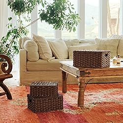 GRANNY SAYS Wicker Baskets with Lids, Set of 3