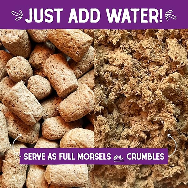 STELLA & CHEWY’S FREEZE-DRIED RAW CAT DINNER MORSELS – PREMIUM BEEF RECIPE WITH 98% GRASS-FED MEAT & ORGANS – NATURAL GRAIN-FREE CAT & KITTEN FOOD – MADE IN USA – 3.5 OZ