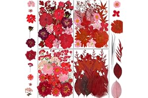 150PCS Red Dried Pressed Flowers with Butterfly Stickers - YouthBro Real Nature Flowers Herb Set for Resin DIY Jewelry Candle Soap Vase Making Nail Card Scrapbook Art Craft Floral Decors