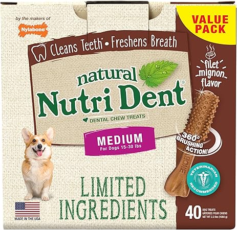 nylabone nutri dent small