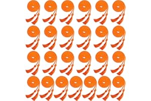 Haconba 25 Pieces Graduation Honor Cord Rayon Braided Honor Cords with Tassel for Graduation Students Bachelor Master Doctoral Gown Grad Decor (Orange)