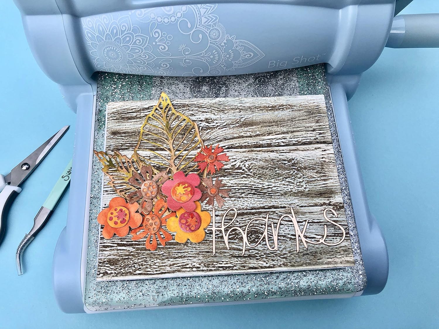 Sizzix Thinlits Die Funky Foliage, Multi Color - Image 4