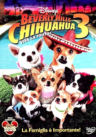 chihuahua l
