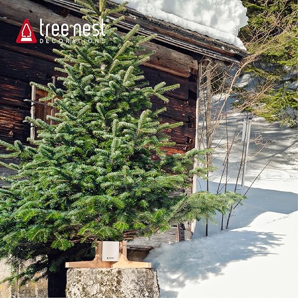 TREE NEST CHRISTMAS TREE STAND BASE FOR 7FT REAL TREE SLIVER CHRISTMAS TREE HOLDER STABLE FOR XMAS TREE DECORATION RUSTIC (WHITE,MEDIUM)