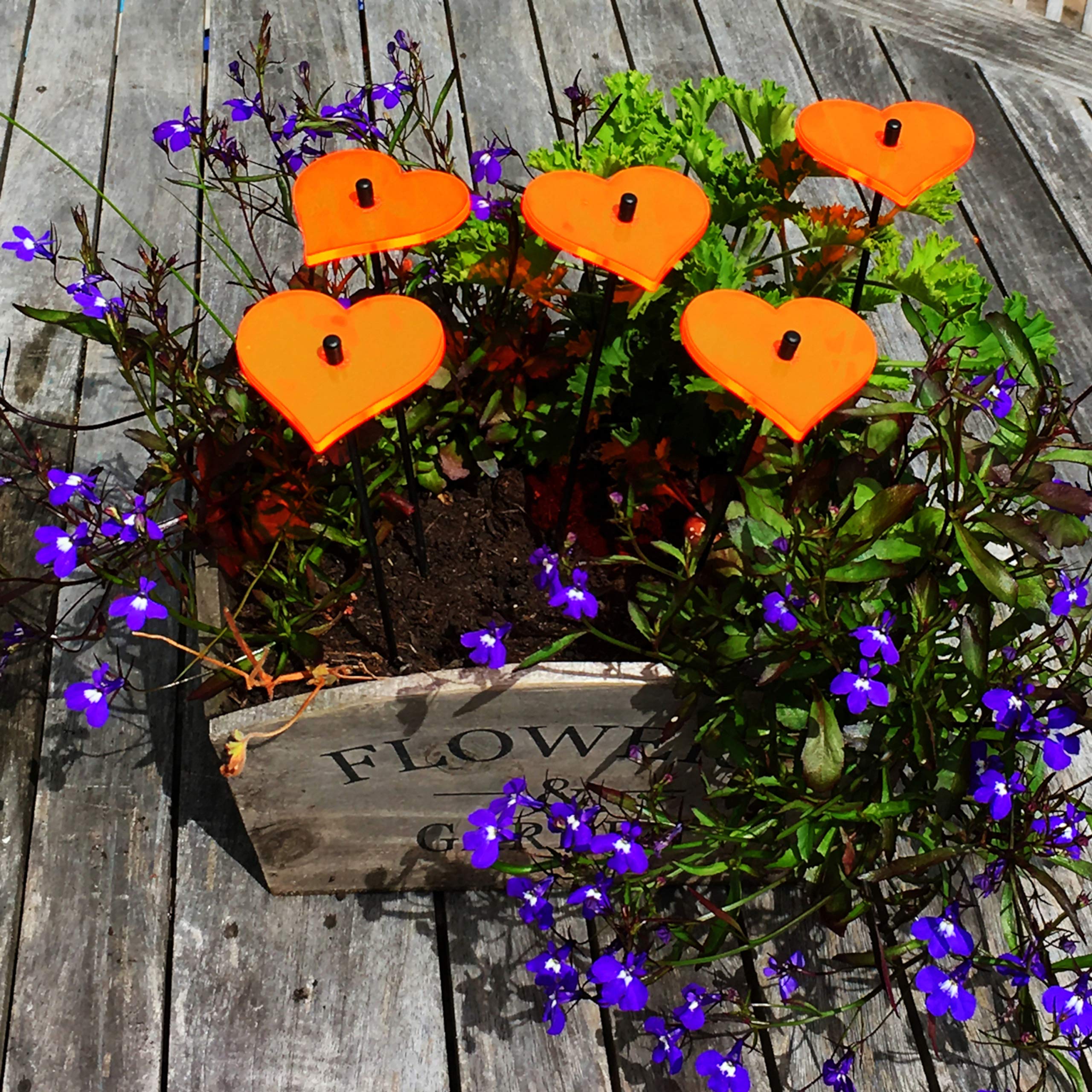 SunCatcher Garden Decor Ornaments Hearts, Set of 5 Decorative Garden Stakes, 25cm/10'' high Outdoor Yard Accessory, Great Gardeners Gift, Colour:Orange