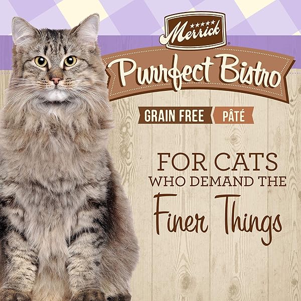 MERRICK PURRFECT BISTRO GRAIN FREE WET CAT FOOD RABBIT RECIPE PATE – (PACK OF 24) 3 OZ. CANS