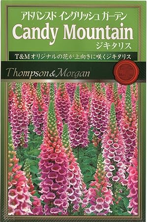 Amazon アタリヤ農園 ガーデニング用品 種 ジキタリスcandy Mountain 花