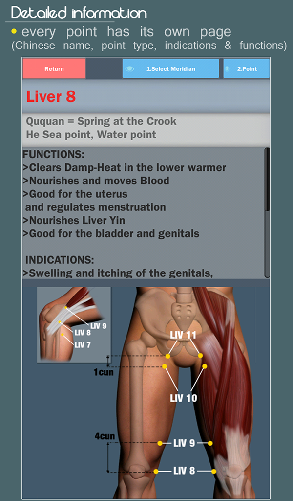 Easy Acupuncture