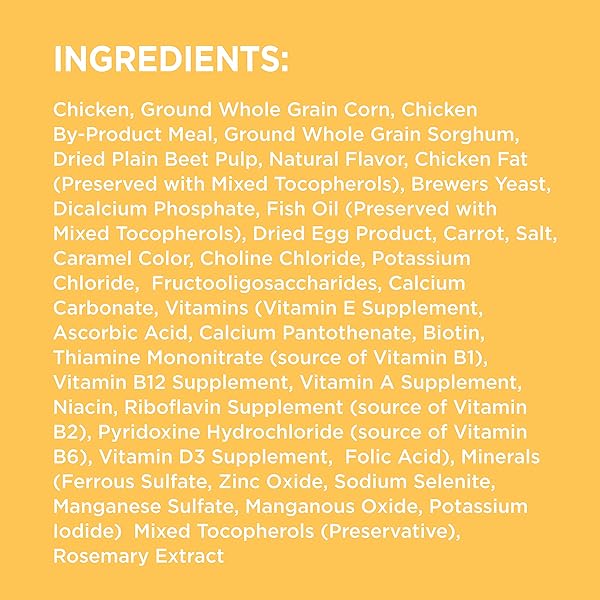 IAMS PROACTIVE HEALTH DRY PUPPY FOOD, PREMIUM DOG FOOD DRY RECIPE, 7 LB. BAG