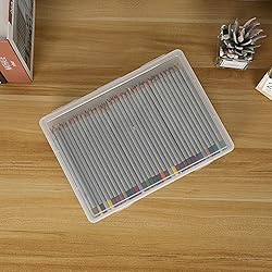 BTSKY Clear Plastic Storage Box with Flap