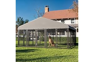 Muphyers 10X10FT Large Dog Kennel Outside Dog Kennel Outdoor with Feeding, Heavy Duty Outdoor Dog Cage Durable Dog Crate with Roof & Double Lock
