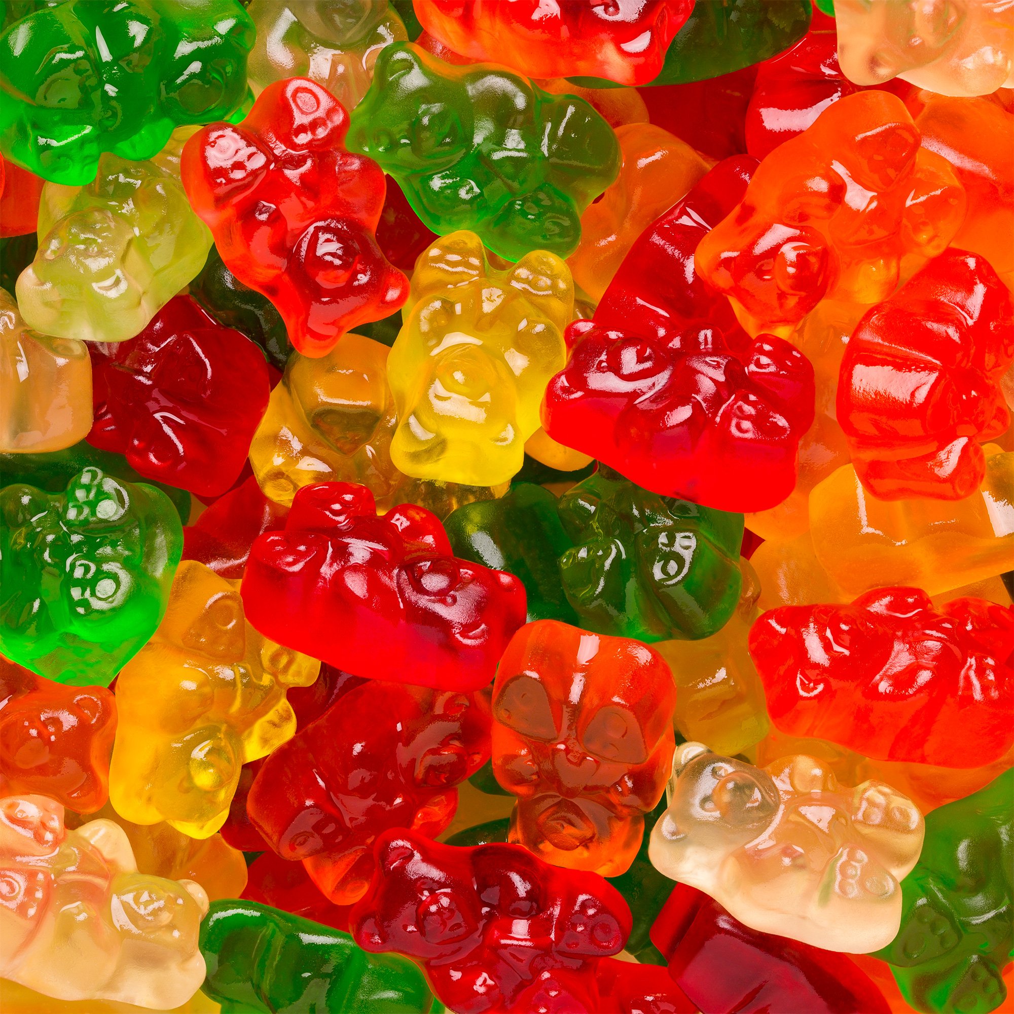 NEW Gummy Bear 5 Lbs Bag Fat Gluten Free 12 Flavor Gummi Bears Candy