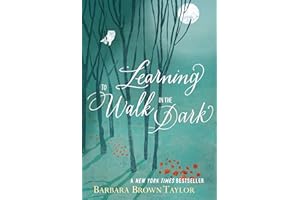 Learning to Walk in the Dark