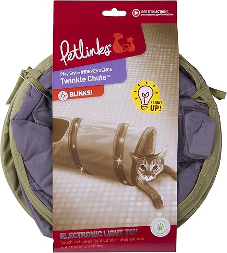 how to get an older cat to like a kitten