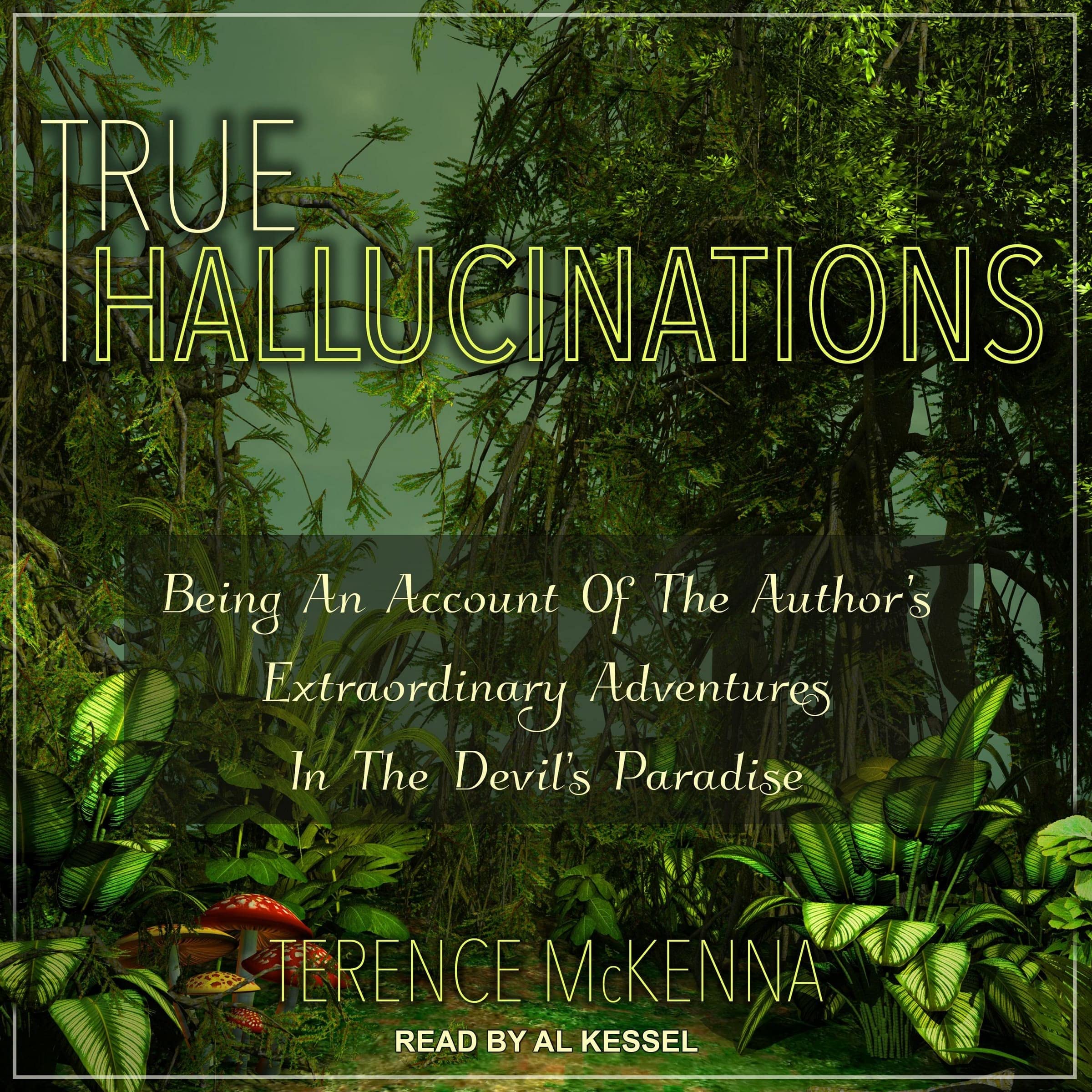 True Hallucinations: Being an Account of the Author's Extraordinary Adventures in the Devil's Paradise Image