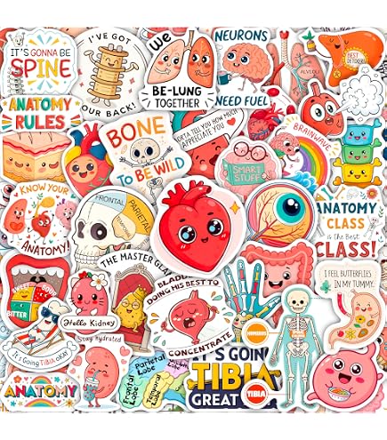 Rabbt Famly (8.5x3.6) Stcker *E983* Decal Cute Laptop Bunny - Etsy