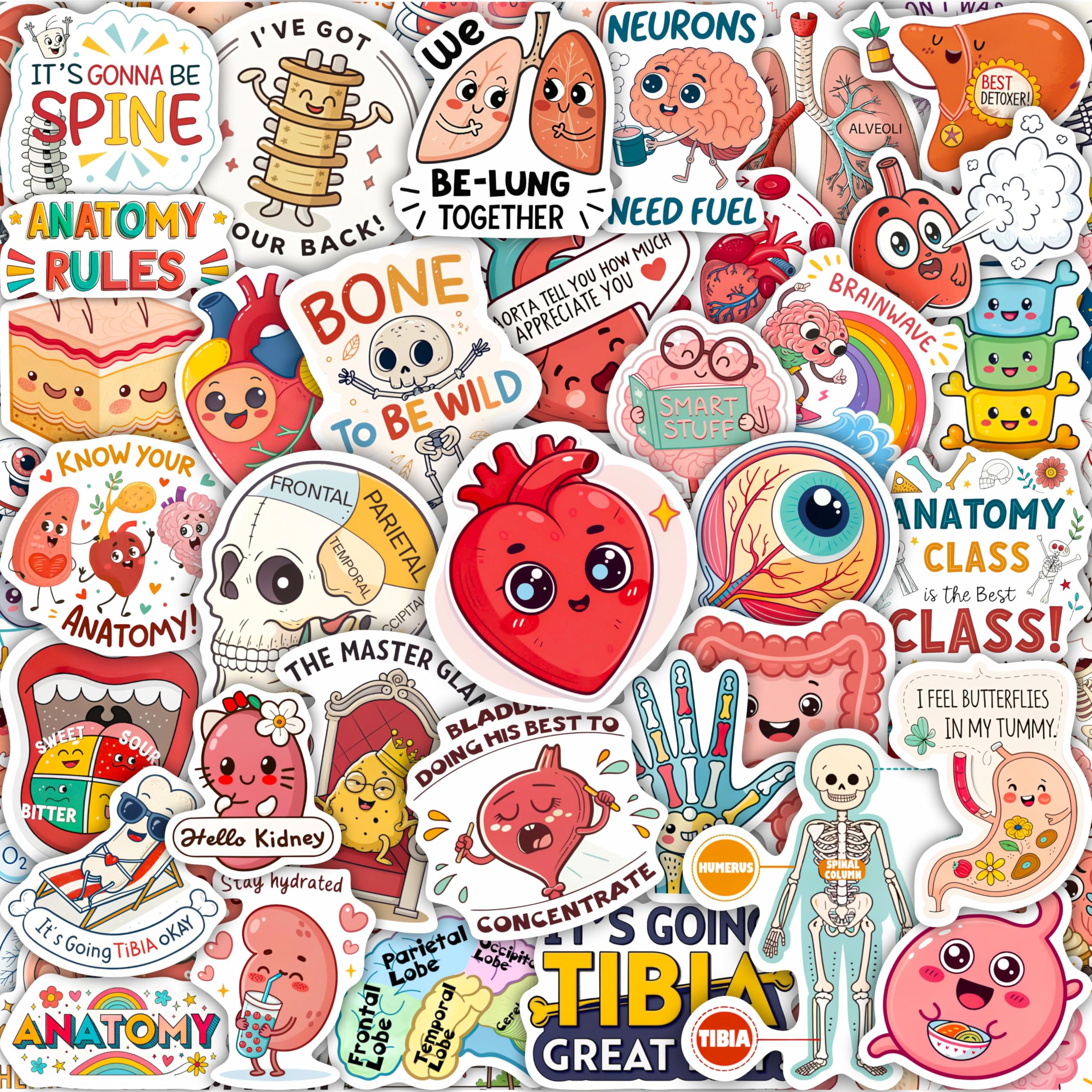 Photo 1 of 100Pcs Anatomy Stickers - Medical Doctor Physiology Stickers for Laptop, Water Bottle - Sonography Radiology Healthcare Nurse Bone Decals
