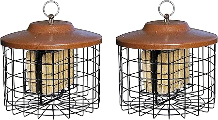 Amazon Com Stokes Select Squirrel X Squirrel Proof Suet Bird
