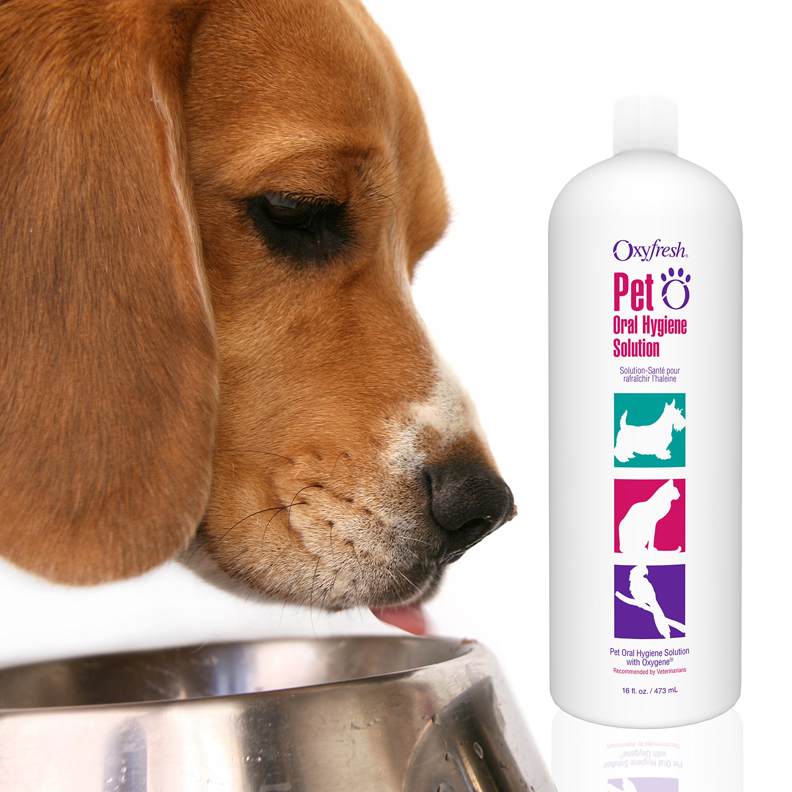 Oxyfresh Pet Oral Hygiene Solution Dog and Cat Water Additive for Bad