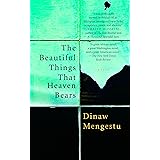 The Beautiful Things That Heaven Bears