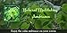 Natural Meditating Ambience - Enjoy the Calm Ambience on Your Screen