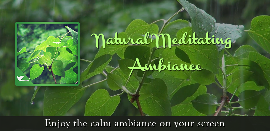 Natural Meditating Ambience - Enjoy the Calm Ambience on Your Screen
