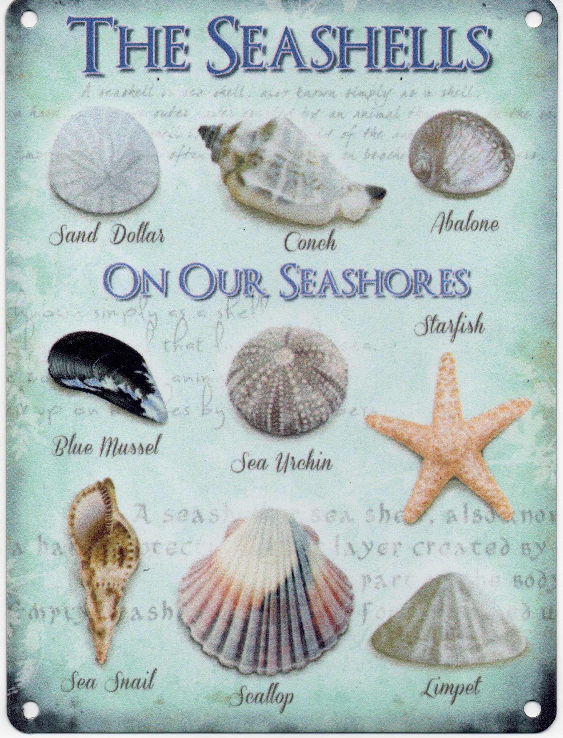 SEASHELLS ON THE SEASHORE Metal Advertising Sign (SMALL 200mm X 150mm)