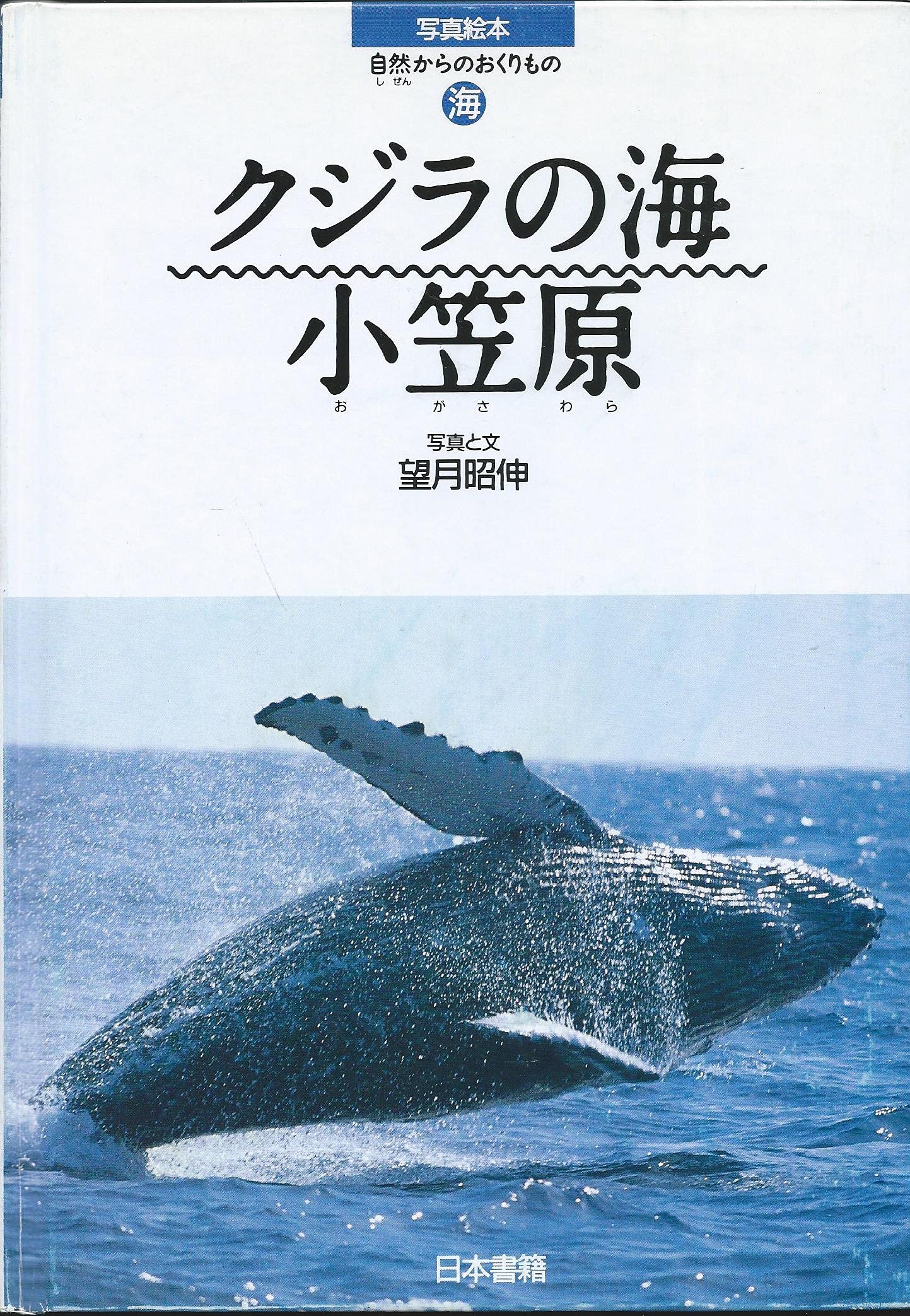 クジラの海 小笠原 写真絵本 自然からのおくりもの 昭伸 望月 本 通販 Amazon クジラの海 小笠原 写真絵本 自然からのおくりもの 昭伸 望月 本 通販 Amazon