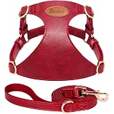 Beirui Small Dog Harness and Leash Set, PU Leather, Red,S,Chest 19.5-23" | For Small Dogs, Adjustable Step in Puppy Harness, Breathable Mesh Lining, Durable Metal Buckle, For Walking Traveling