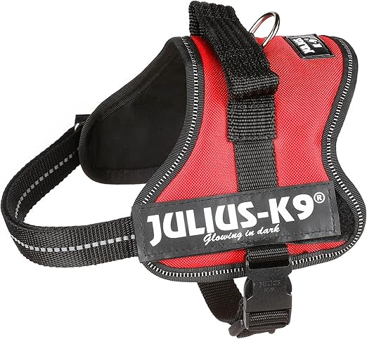 Julius-K9 Mini-Mini, 40-53 cm, Rojo: Amazon.es: Productos para ...