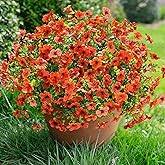 florisso Artificial Fake Fall Mums Flowers Plants for Outdoor Outside Decoration, 12 Bundles Faux Silk Orange Daisy UV Resistant Look Real for Autumn Front Door Porch Planter Patio Garden Home