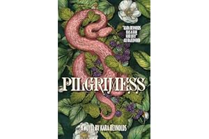 Pilgrimess (Gods of Tintar Book 2)