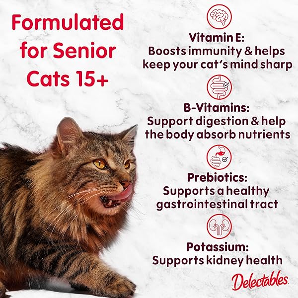 DELECTABLES LICKABLE WET CAT TREATS – TUNA & CHICKEN, 1.4 OUNCE (PACK OF 12)