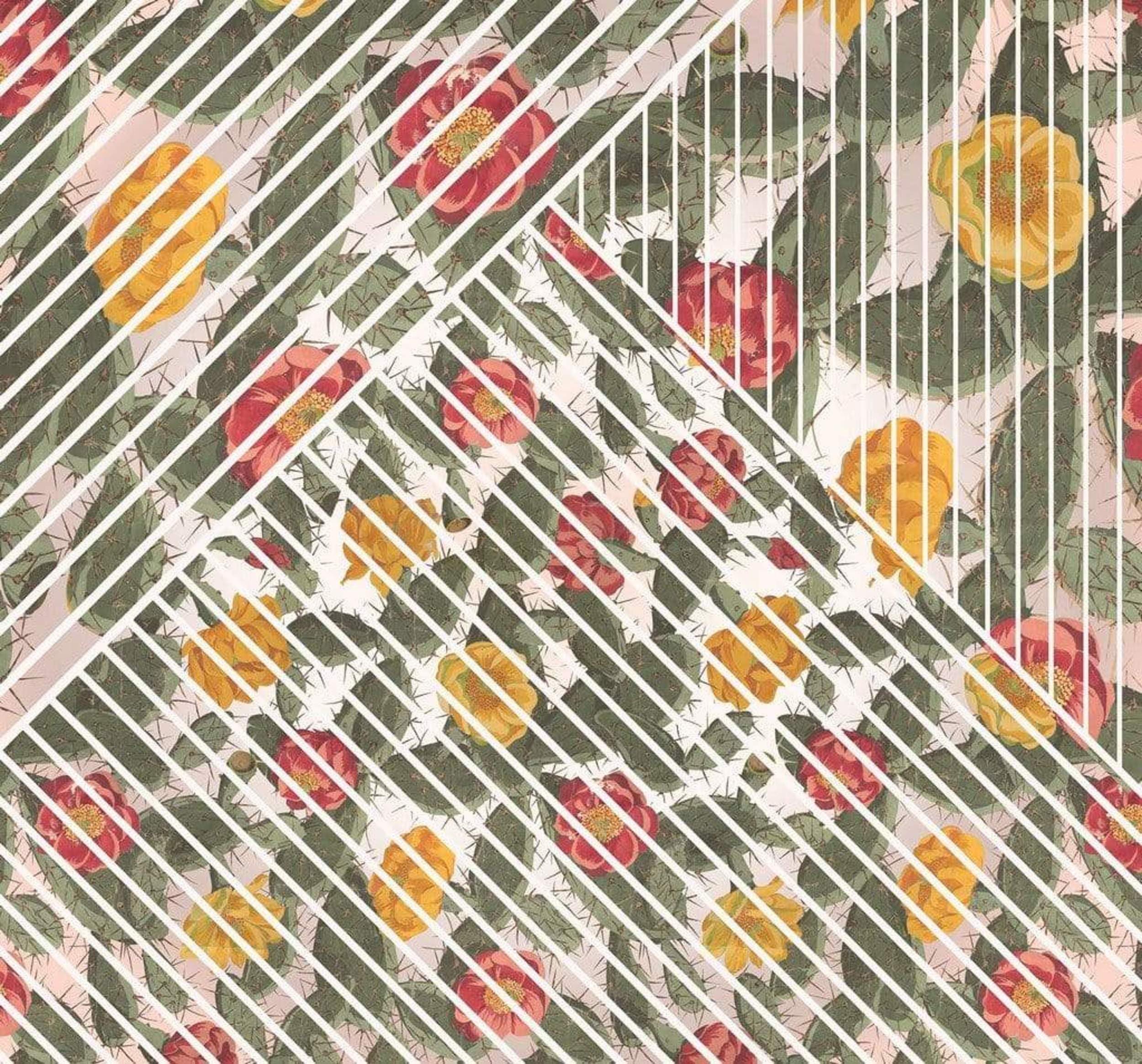 Komar HX6-042 Non-Woven Photo Wallpaper Cactus Design XXL Decoration Art Nouveau Bedroom Living Room Office Hallway Size 300 x 280 cm (Width x Height) Multi-Coloured