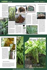 GREEN24 PROFI LINE Banana Musa Ensete Liquid Fertilizer NPK Plant Food view 6