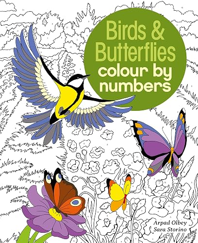 Download Birds & Butterflies Colour by Numbers PDF