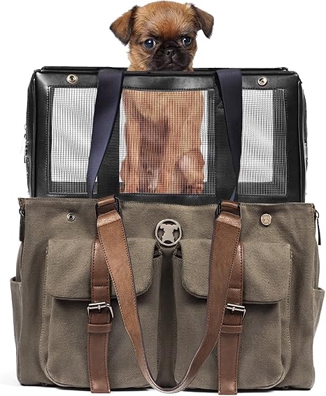 Amazon Com Miso Pup Weekend Green Canvas Interchangeable Airline