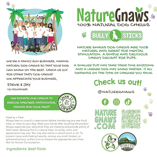 NATURE GNAWS EXTRA LARGE BULLY STICKS FOR DOGS 11-12″ (6 COUNT) – THICK LONG LASTING FOR AGGRESSIVE CHEWERS AND HEAVY CHEWERS – NATURAL BEEF DOG CHEW BONES