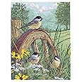 Janlynn 008-0203 Meadow's Edge Counted Cross Stitch Kit, 11 x 14