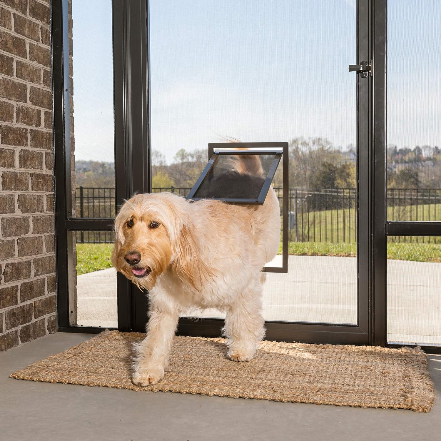 PetSafe Pet Screen Door - Dog and Cat Flap for Screen Door, Large, Window, Storm Door and Porch Use : Pet Supplies