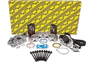 EVERGREEN PET SUPPLIES Evergreen OK4029M/2/0/0 Fits 96-00 Honda Civic VTEC 1.6L SOHC 16V D16Y5 D16Y7 D16Y8 Master Overhaul Engine Rebuild Kit