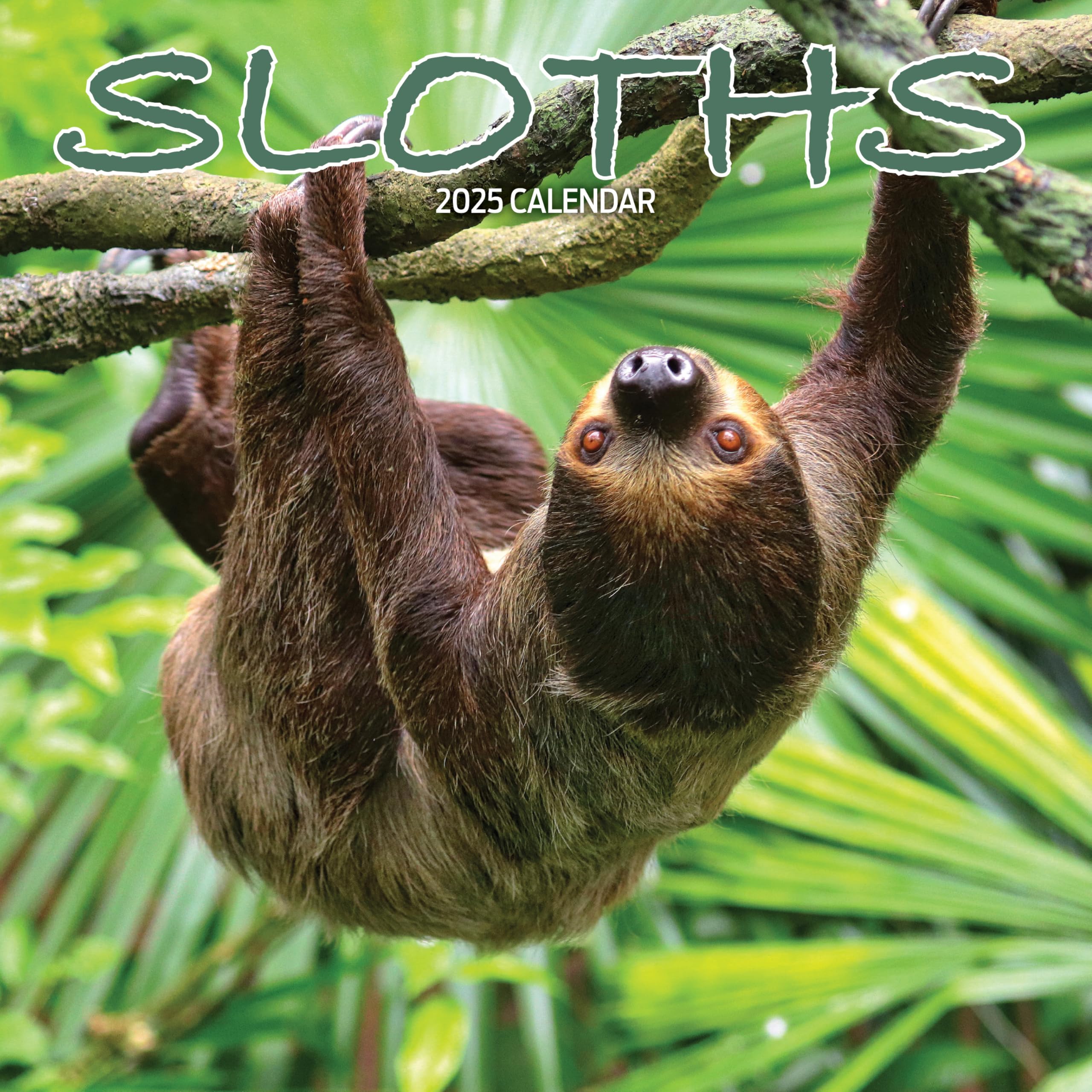 Sloths 2025 Calendar