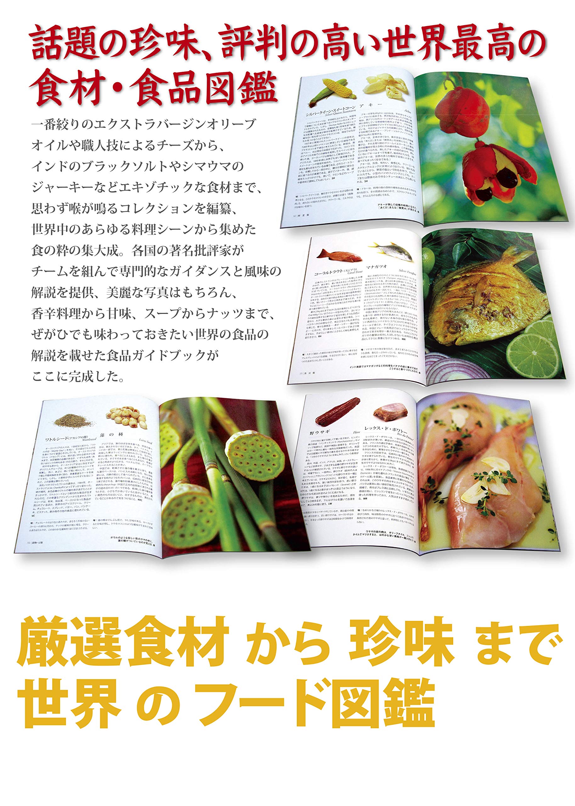 死ぬ前に味わいたい1001食品 Gaia Books Amazon Com Books