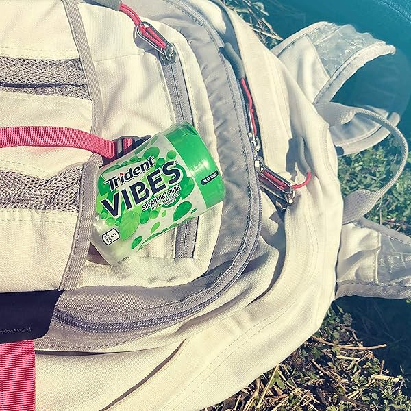 TRIDENT VIBES SUGAR FREE GUM, SPEARMINT RUSH FLAVOR, 1 GO-CUP (40 PIECES TOTAL)
