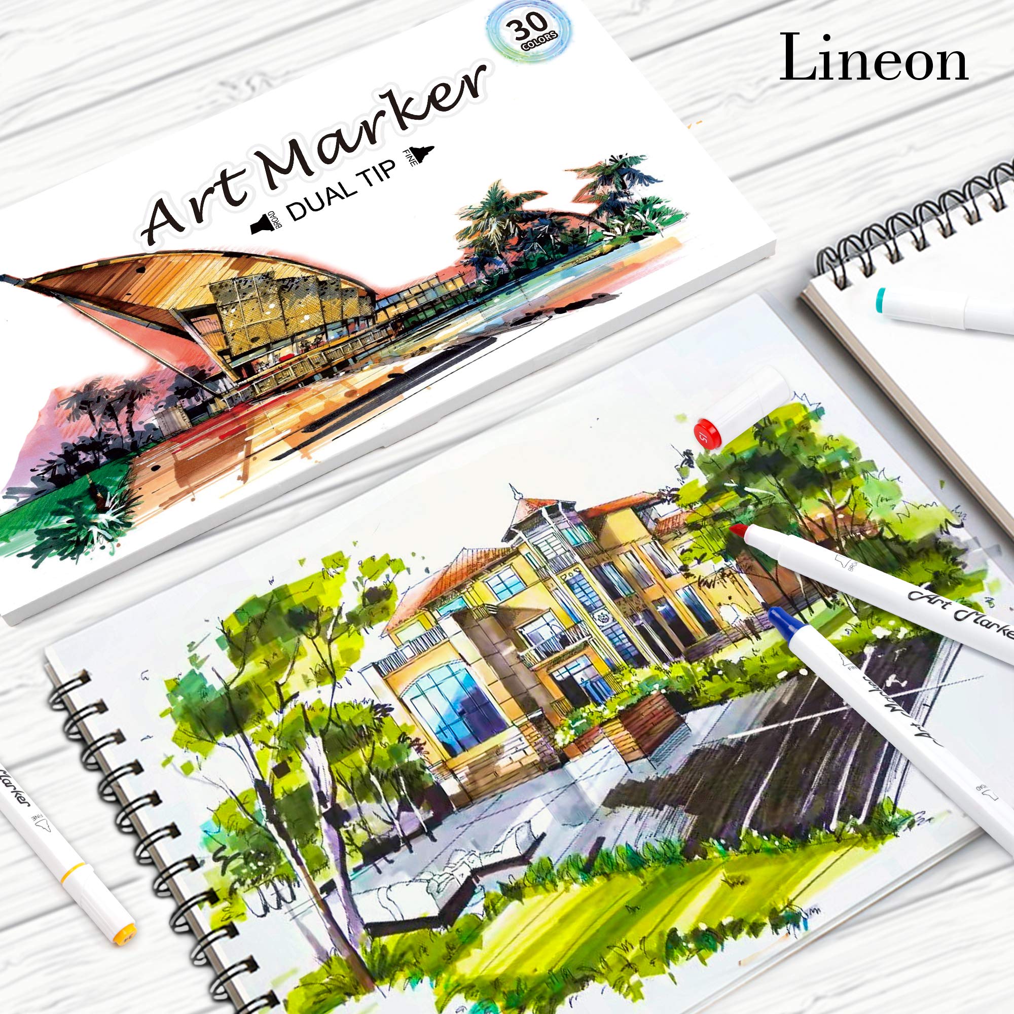 Dual Tip Alcohol Based Art Markers, Lineon 30 Colors Alcohol Marker Pens Perfect for Kids Adult Coloring Books Sketching and Card Making